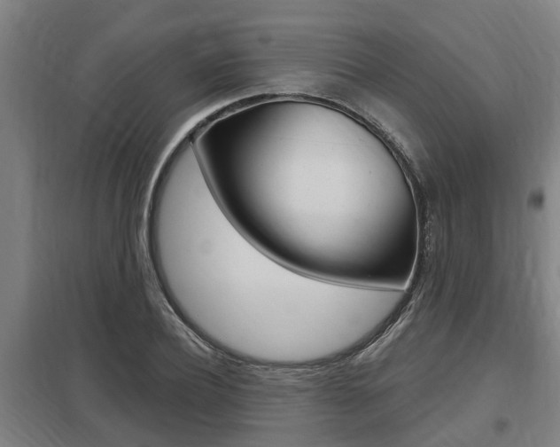 X0000098030932200803280728