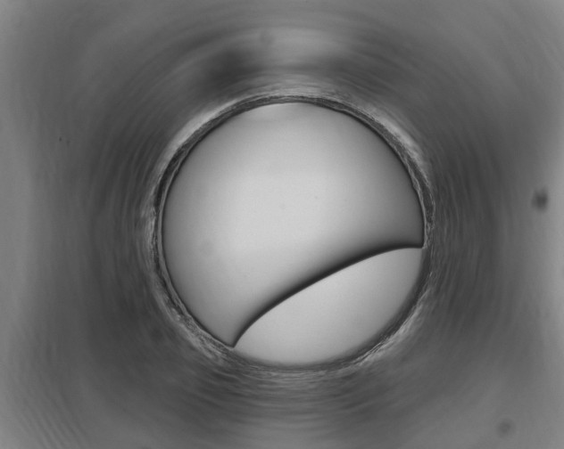 X0000098030933200803280728