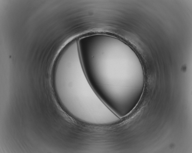 X0000098030934200803280728