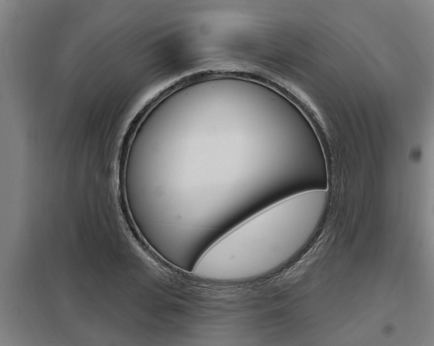 X0000098030935200803280728