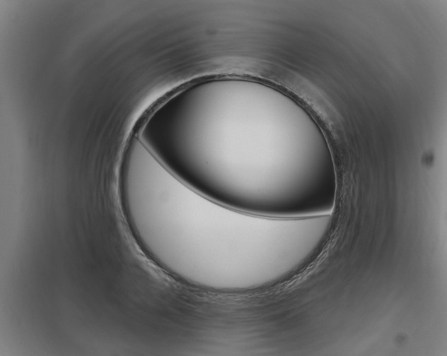 X0000098030936200803280728
