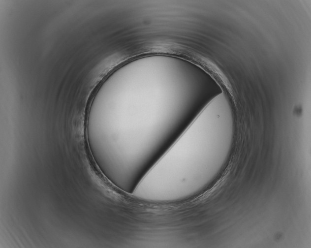 X0000098030938200803280728