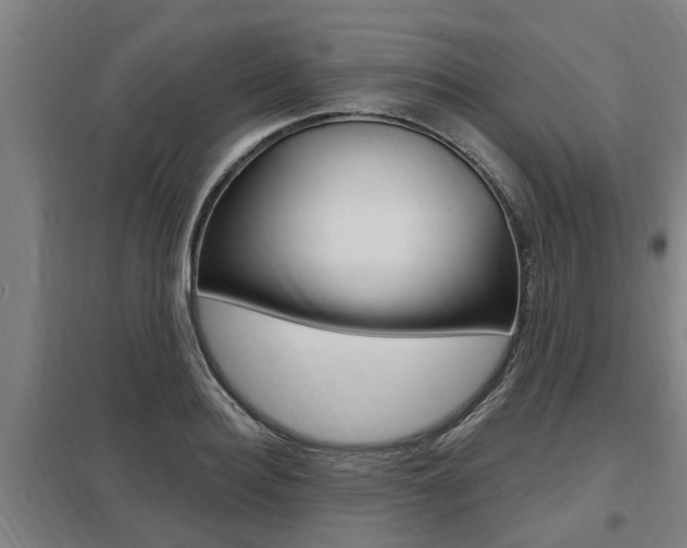 X0000098030940200803280728