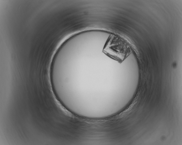 X0000098030942200803280728