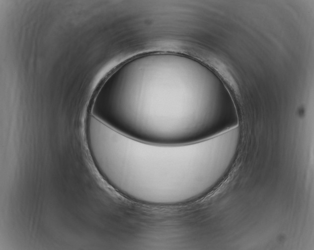 X0000098030944200803280728