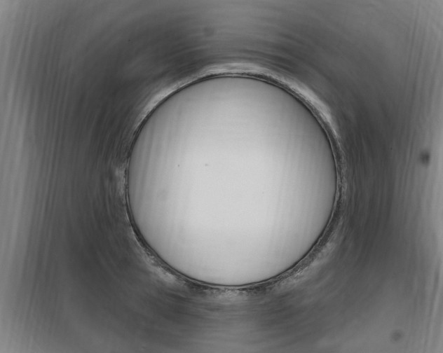 X0000098030945200803280728