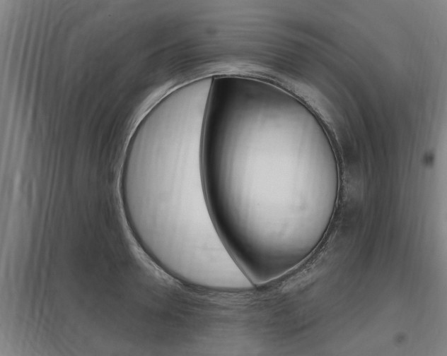 X0000098030946200803280728