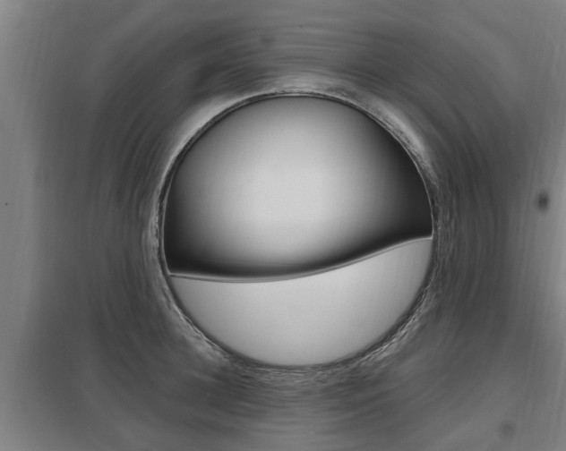 X0000098030948200803280728