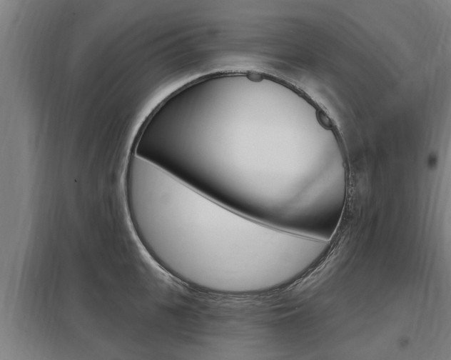 X0000098030951200803280728