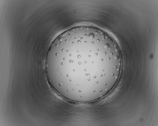 X0000098030953200803280728