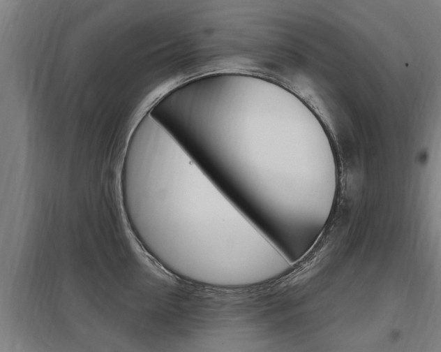 X0000098030954200803280728