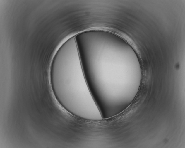 X0000098030955200803280728