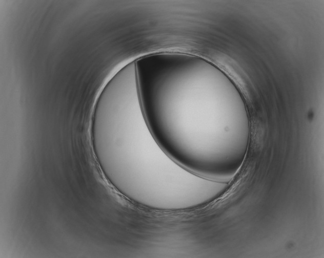 X0000098030956200803280728