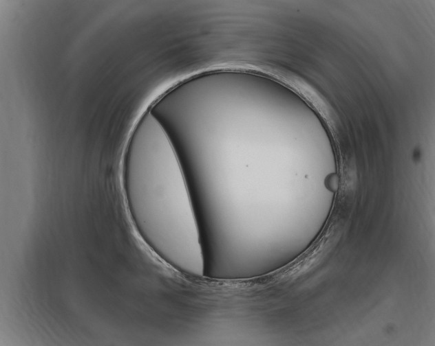 X0000098030958200803280728