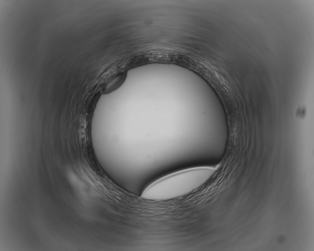X0000098030964200803280727