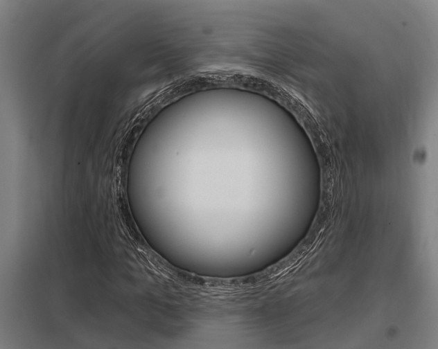 X0000098030965200803280727