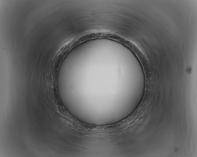 X0000098030967200803280727