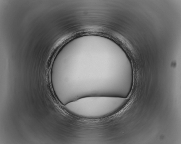 X0000098030970200803280727
