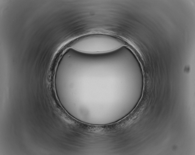 X0000098030971200803280727