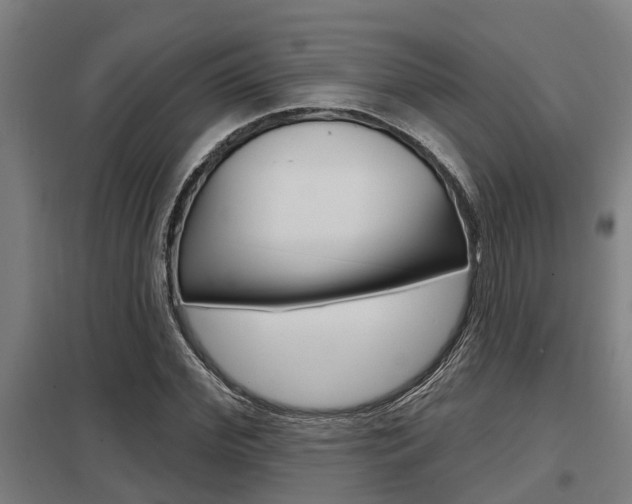 X0000098030972200803280727