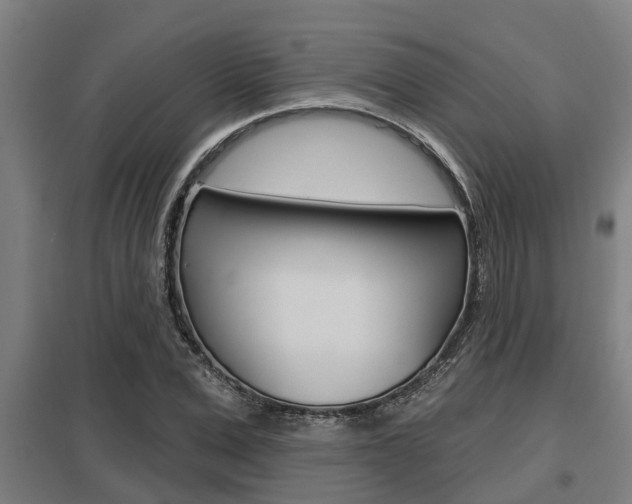 X0000098030975200803280727