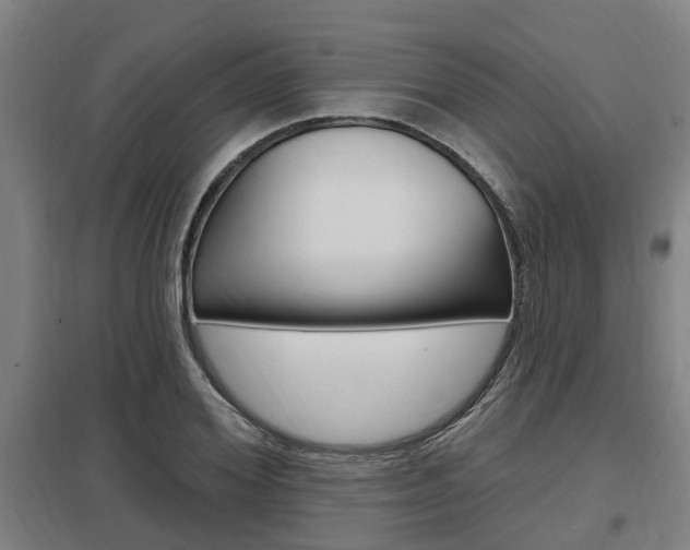 X0000098030980200803280727