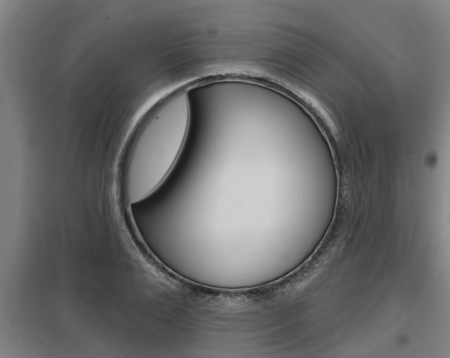 X0000098030983200803280727