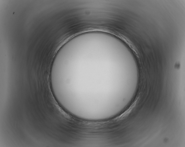 X0000098030985200803280727