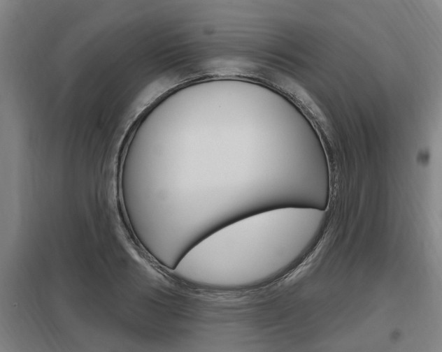 X0000098030986200803280727