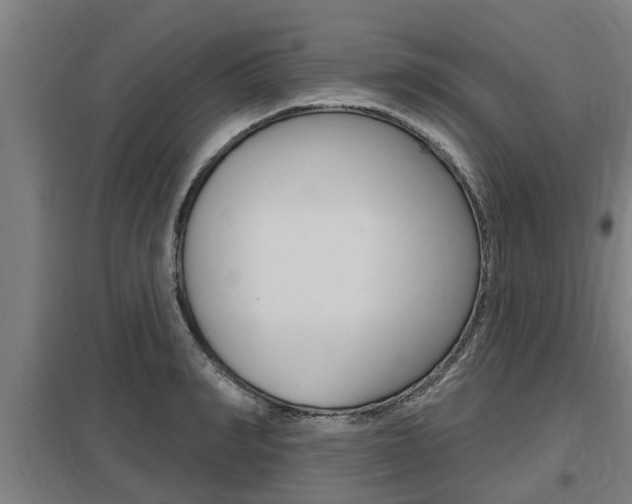 X0000098030990200803280727