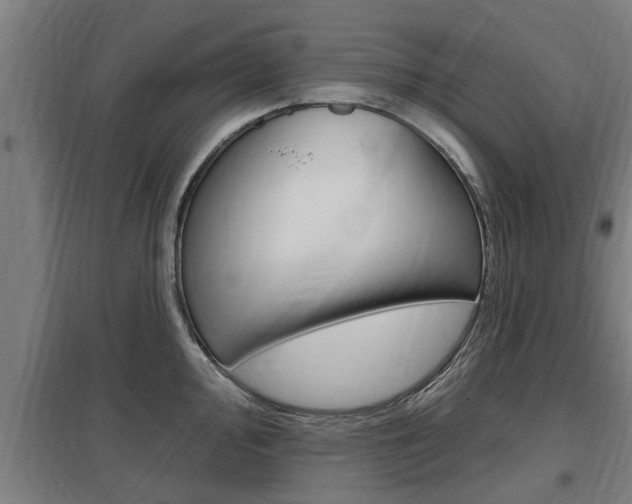 X0000098031000200803280727