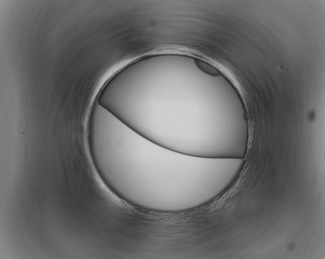 X0000098031003200803280726