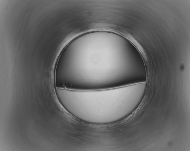 X0000098031004200803280726