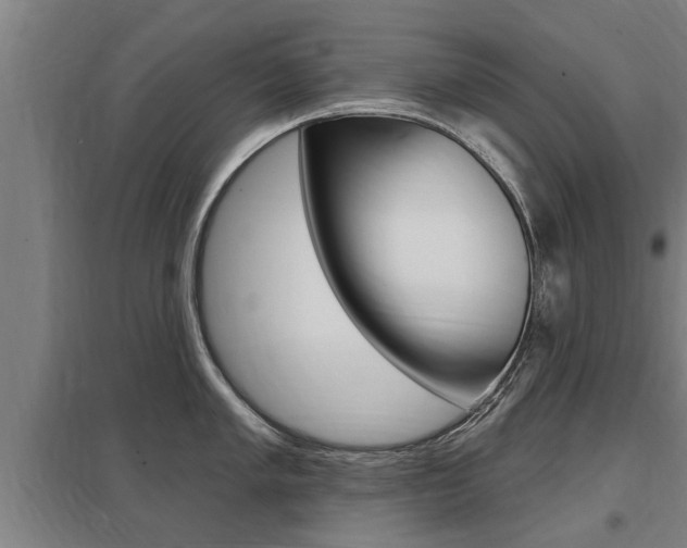 X0000098031005200803280726