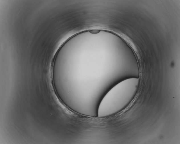 X0000098031006200803280726