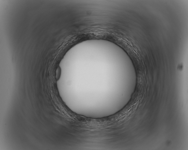 X0000098031009200803280725
