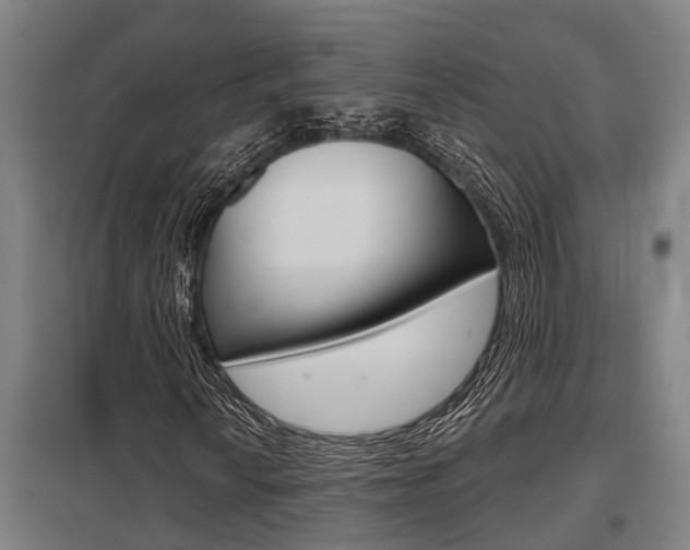 X0000098031010200803280725