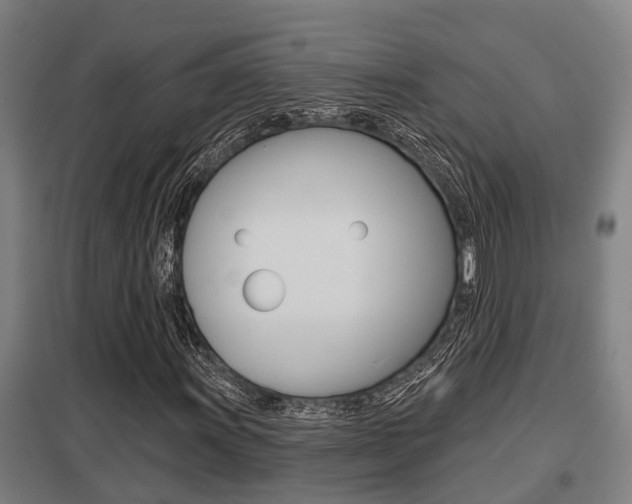 X0000098031011200803280726