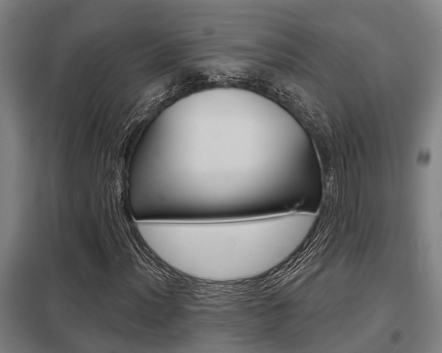 X0000098031012200803280726