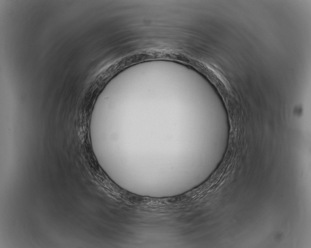 X0000098031015200803280726