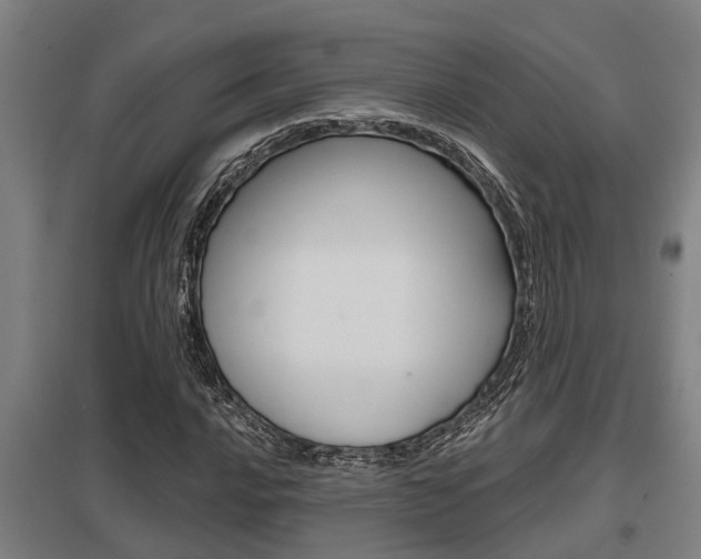 X0000098031016200803280726