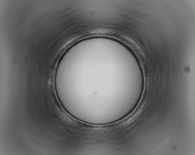 X0000098031017200803280726