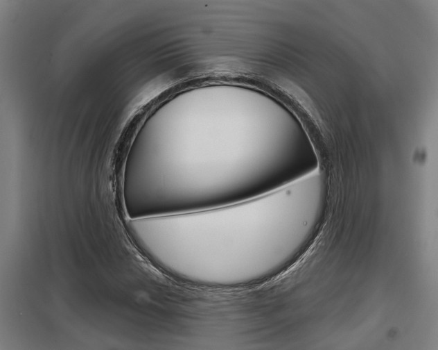 X0000098031018200803280726