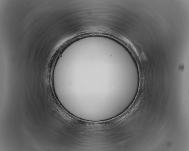 X0000098031019200803280726