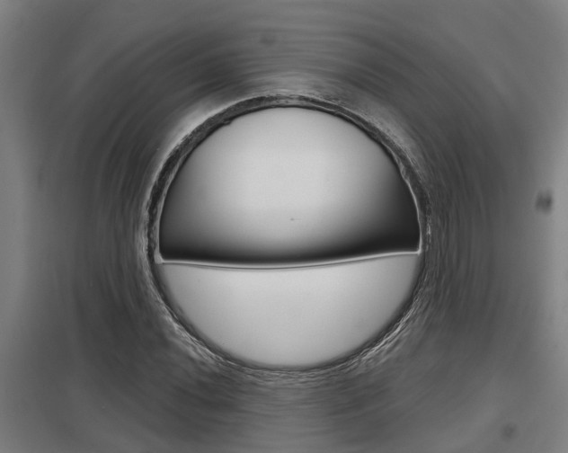X0000098031020200803280726