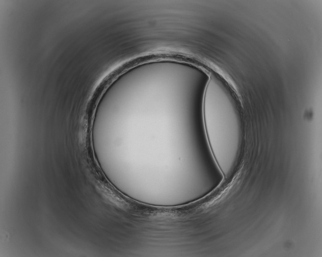X0000098031021200803280726
