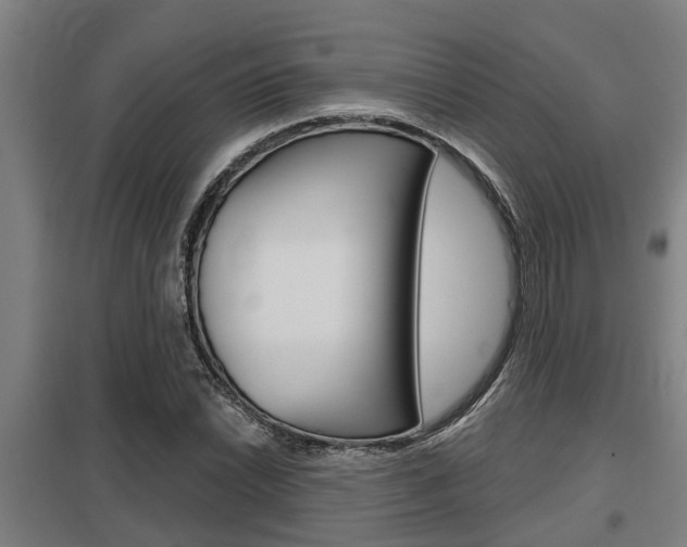 X0000098031022200803280726