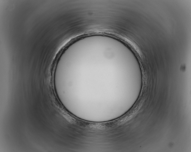 X0000098031023200803280726