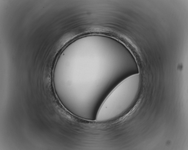 X0000098031025200803280726