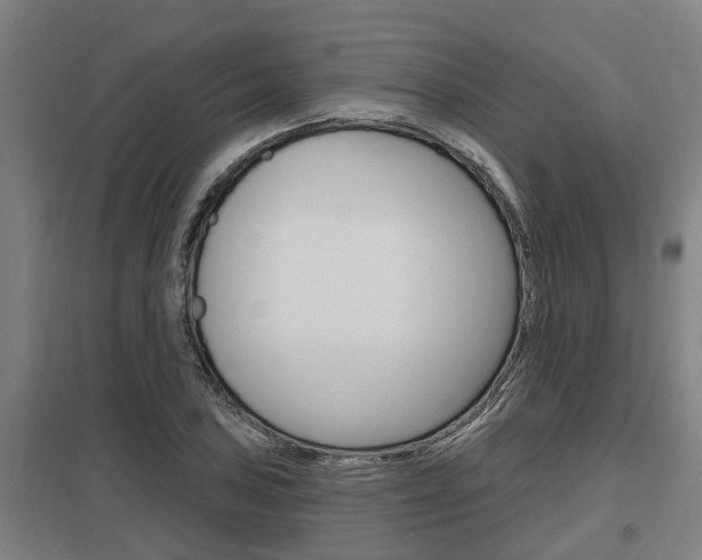 X0000098031027200803280726